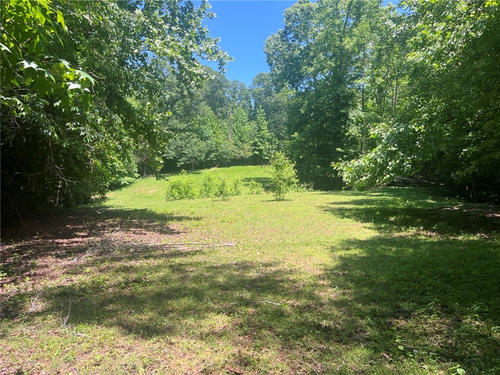 0 Broadway School Road Belton, SC 29627 - Photo 13 of 21