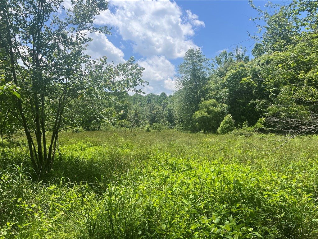 0 Broadway School Road Belton, SC 29627 - Photo 14 of 21