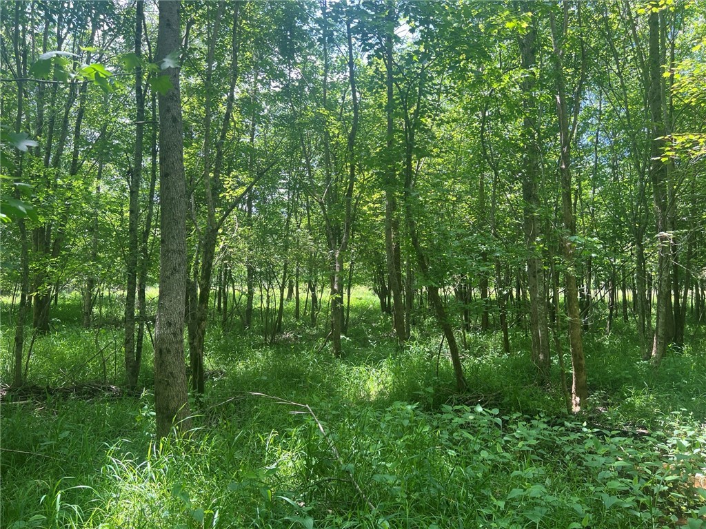 0 Broadway School Road Belton, SC 29627 - Photo 15 of 21