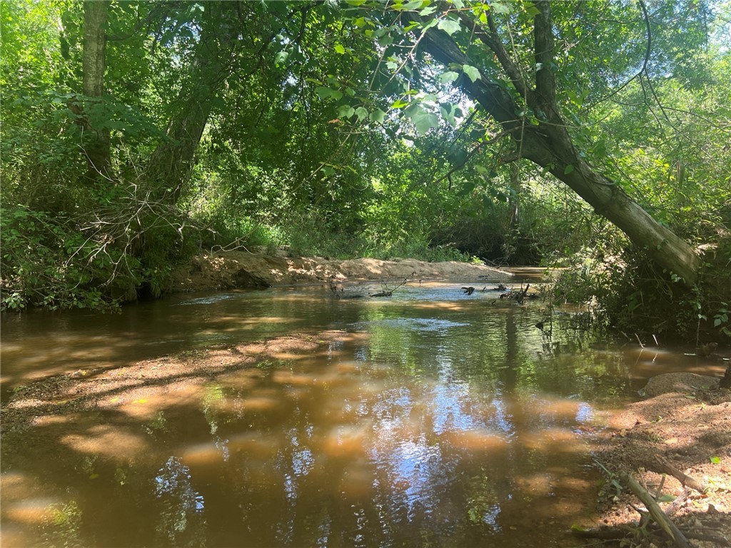 0 Broadway School Road Belton, SC 29627 - Photo 16 of 21