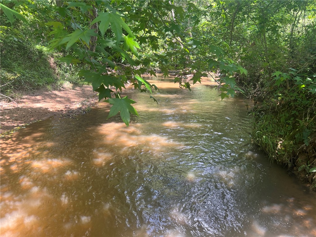 0 Broadway School Road Belton, SC 29627 - Photo 18 of 21
