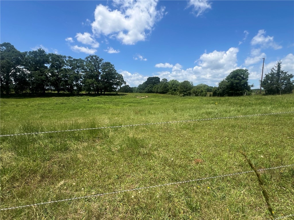 0 Broadway School Road Belton, SC 29627 - Photo 5 of 21