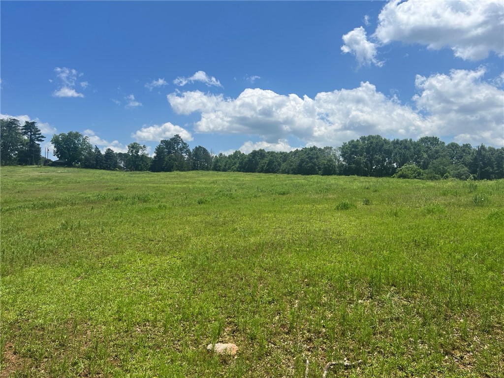 0 Broadway School Road Belton, SC 29627 - Photo 6 of 21