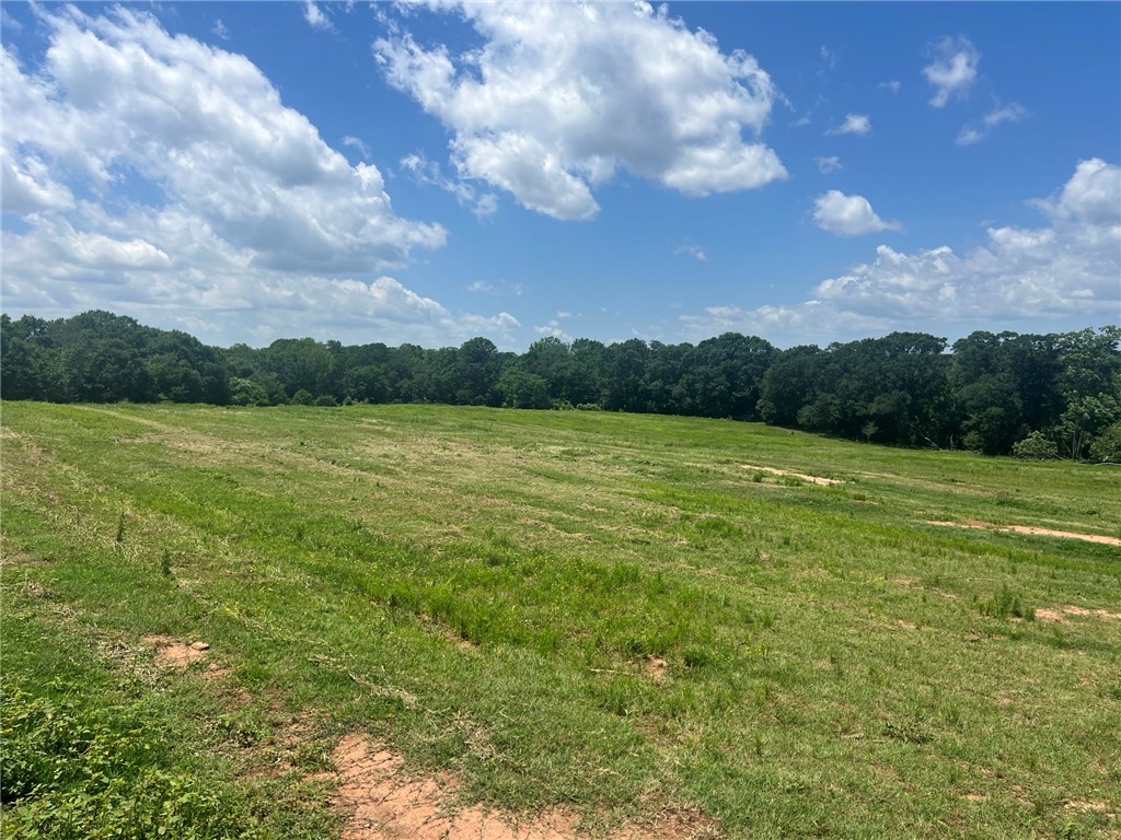 0 Broadway School Road Belton, SC 29627 - Photo 8 of 21