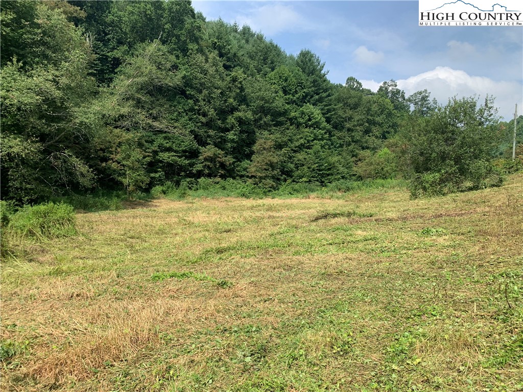 689 Lee Osborne Road Lansing, NC 28643 - Photo 9 of 23 a view of a yard with an outdoor space