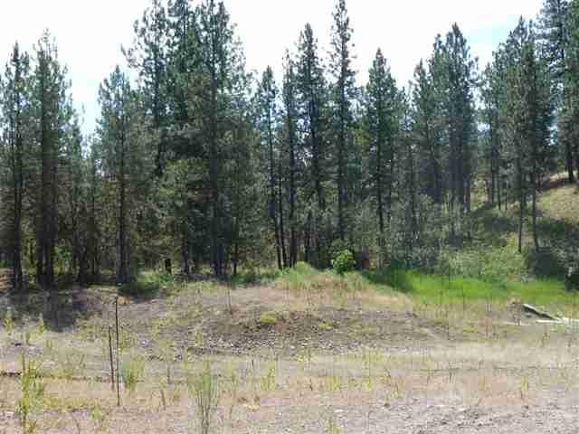 26127 West Carman Road Cheney, WA 99004 - Photo 3 of 7