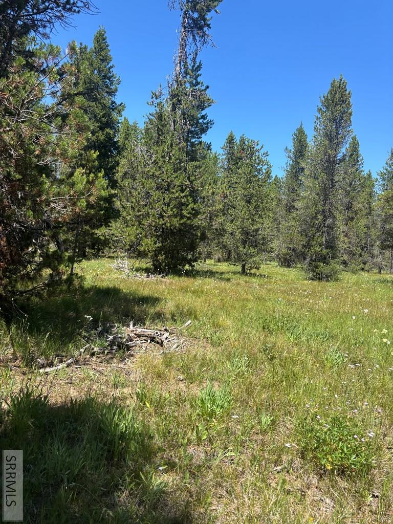 3821 Totem Road Island Park, ID 83429 - Photo 4 of 20