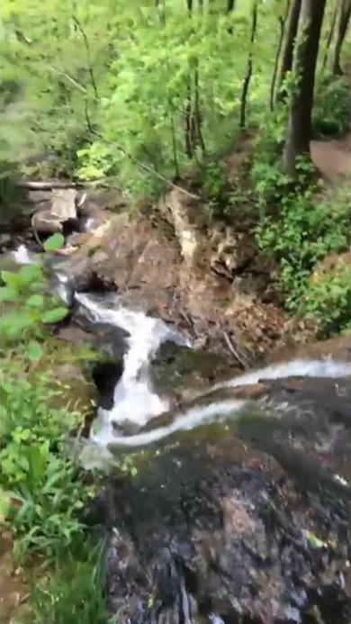 103 Harrison Ferry Road McMinnville, TN 37110 - Photo 2 of 20 a view of a yard