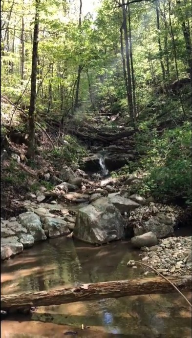 103 Harrison Ferry Road McMinnville, TN 37110 - Photo 3 of 20