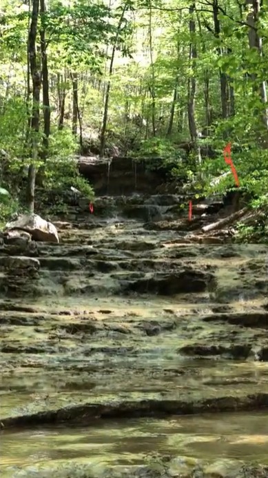 103 Harrison Ferry Road McMinnville, TN 37110 - Photo 4 of 20 a view of water view