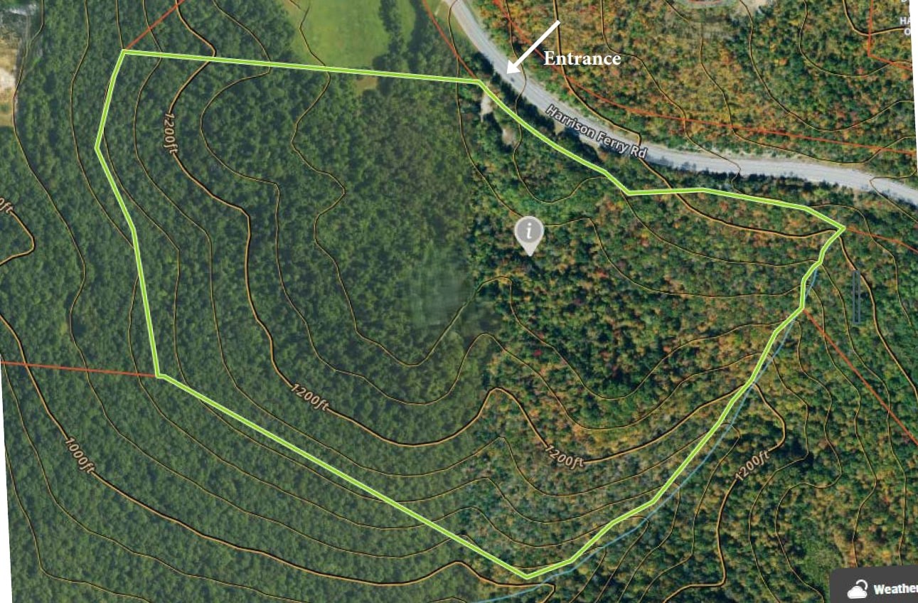 103 Harrison Ferry Road McMinnville, TN 37110 - Photo 6 of 20 a view of a yard with a plant