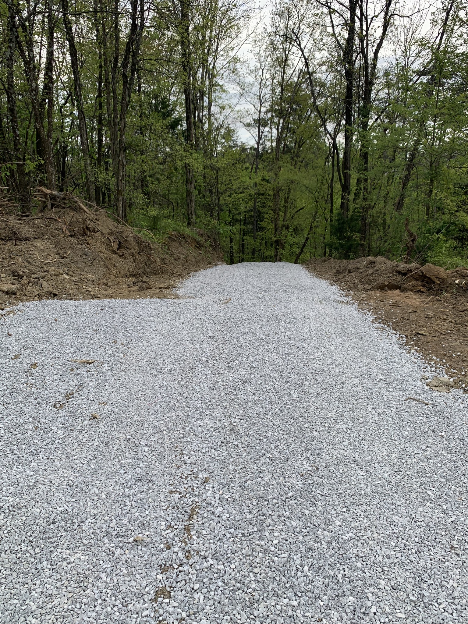 103 Harrison Ferry Road McMinnville, TN 37110 - Photo 10 of 20 a view of a backyard with trees