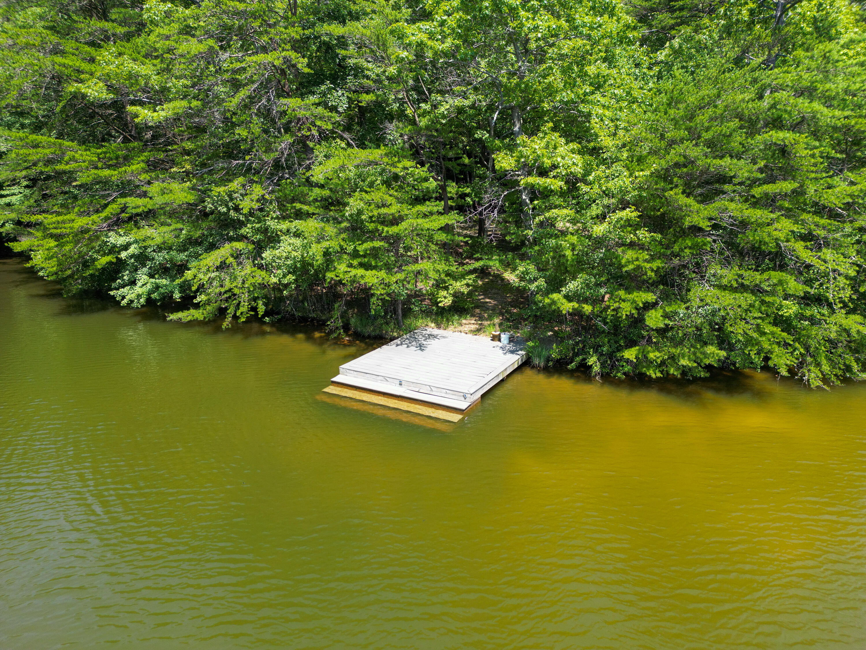346 Mac Lake Drive Rising Fawn, GA 30738 - Photo 56 of 56 DJI_0342
