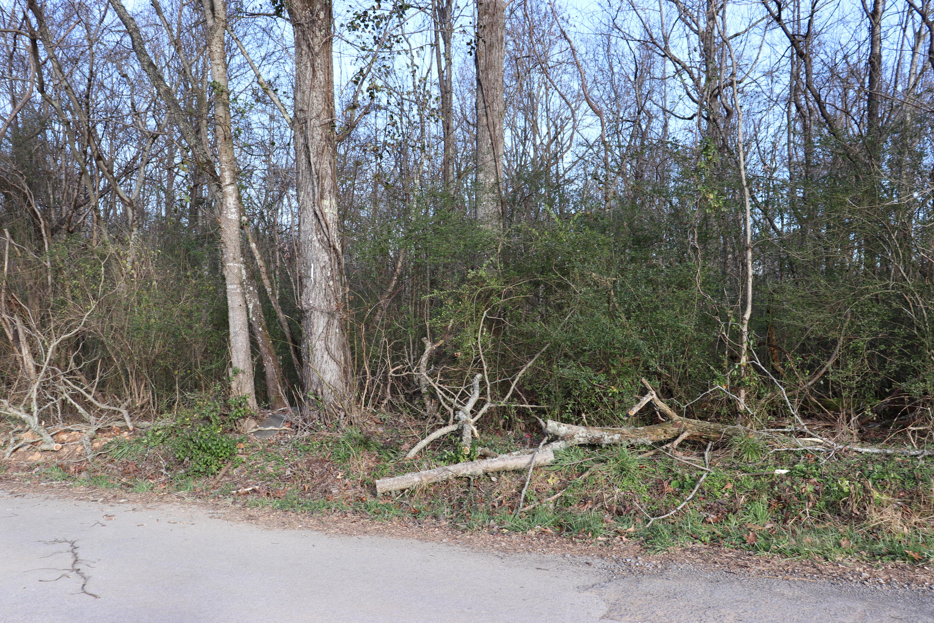 Lot C Dry Valley Road Townsend, TN 37882 - Photo 1 of 10 Front of Property
