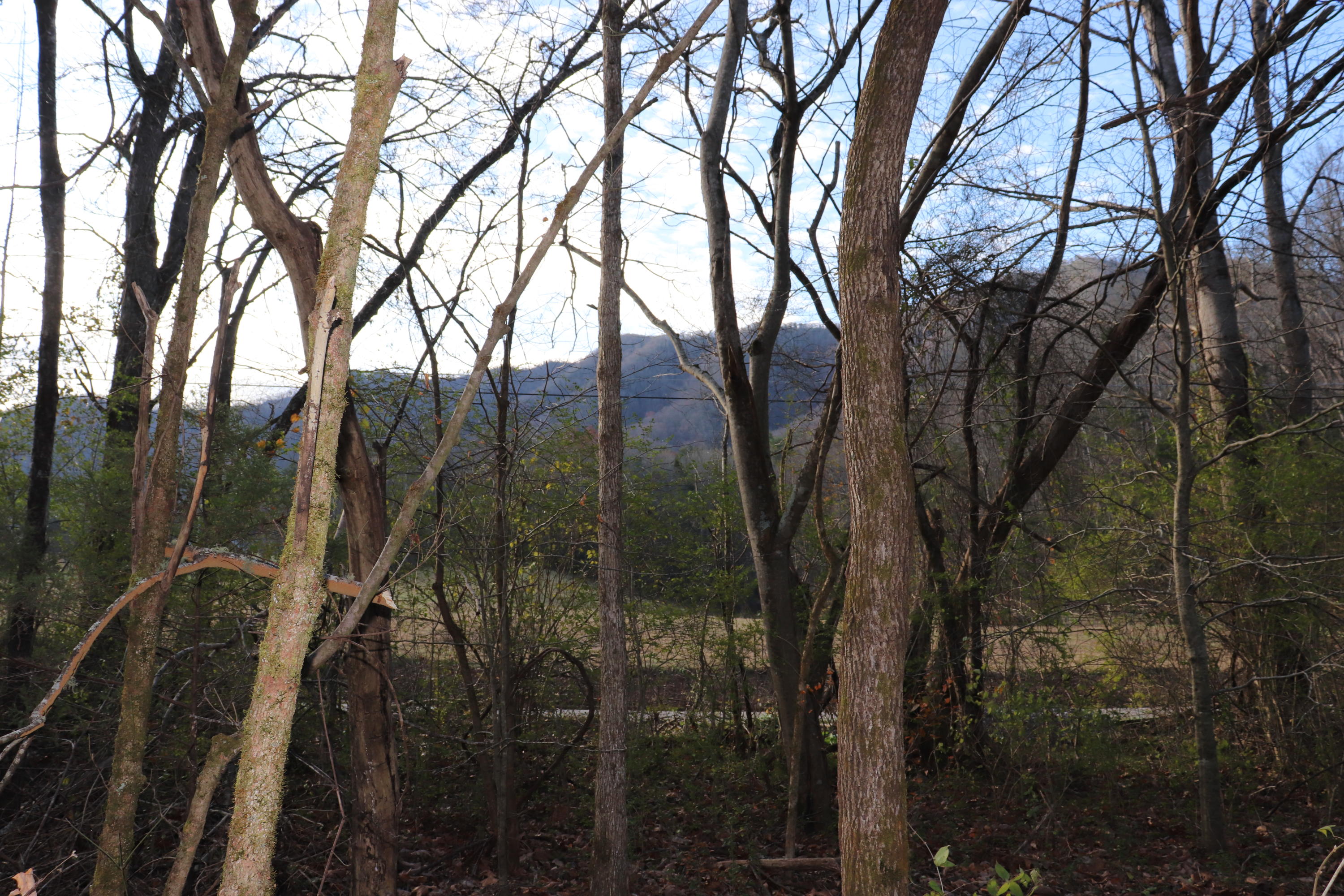Lot C Dry Valley Road Townsend, TN 37882 - Photo 4 of 10 Great views