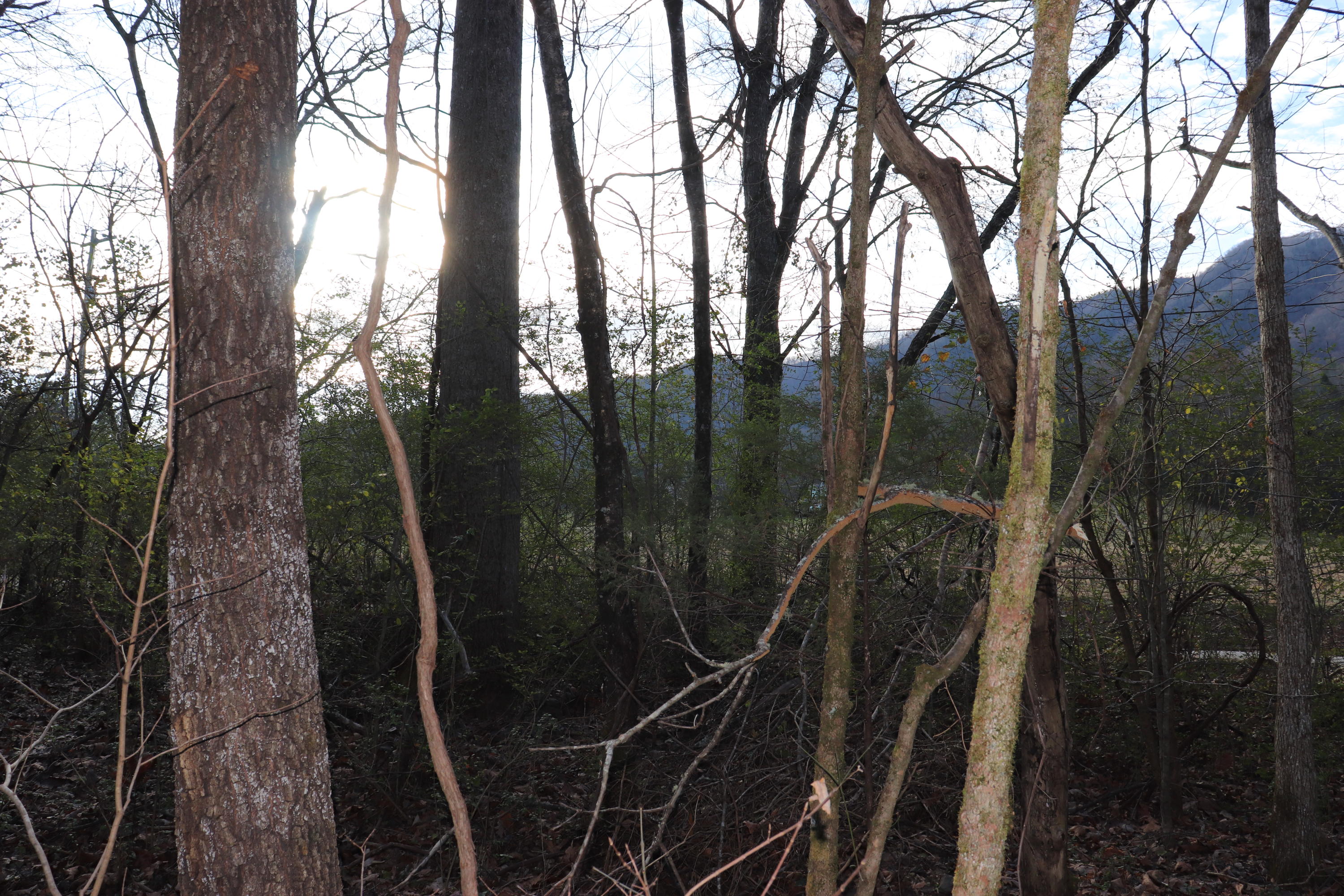 Lot C Dry Valley Road Townsend, TN 37882 - Photo 5 of 10 Mountain View