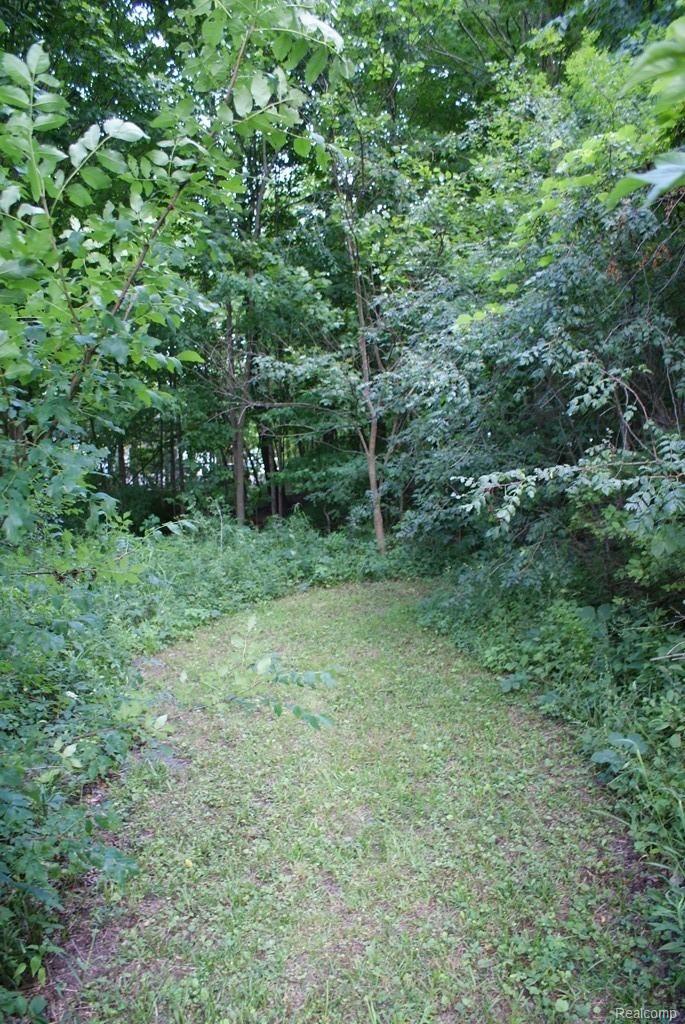 4465 Mitchell Road Metamora, MI 48455 - Photo 81 of 85 Into the woods.