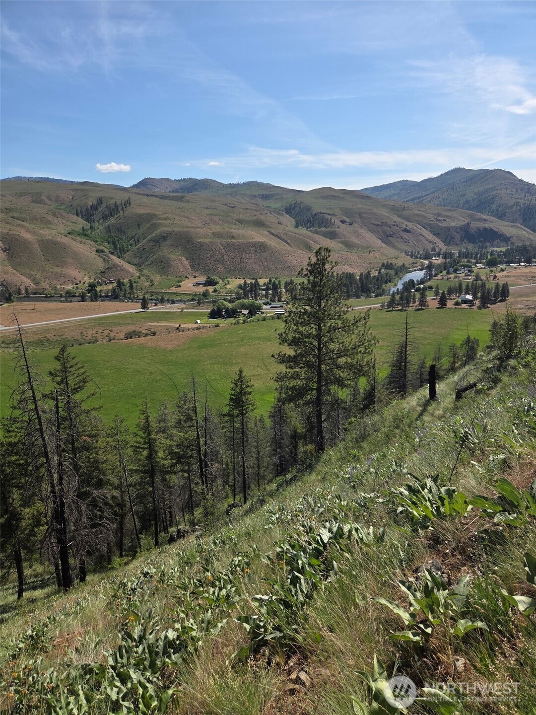 -xxx Gold Creek Loop Road Carlton, WA 98814 - Photo 5 of 14 a view of lake with mountain