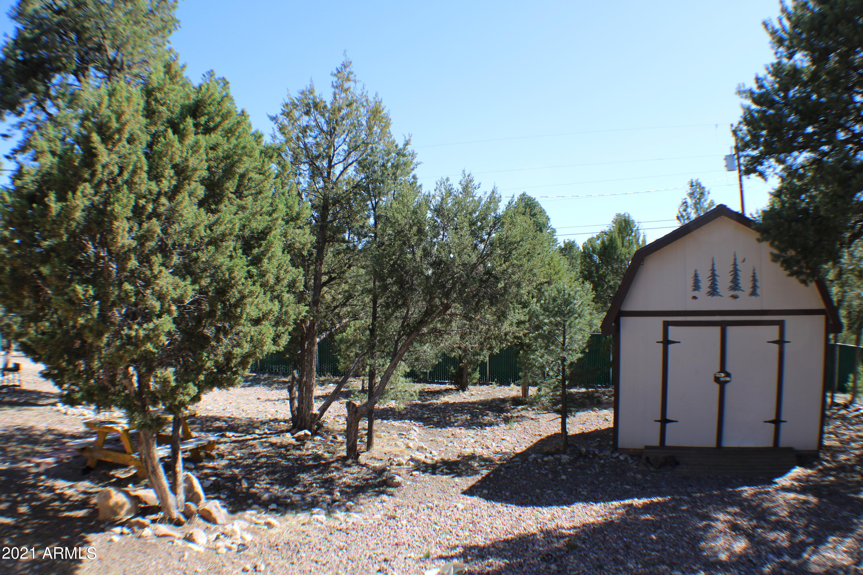 3503 Rae Circle Overgaard, AZ 85933 - Photo 9 of 16 IMG_1387