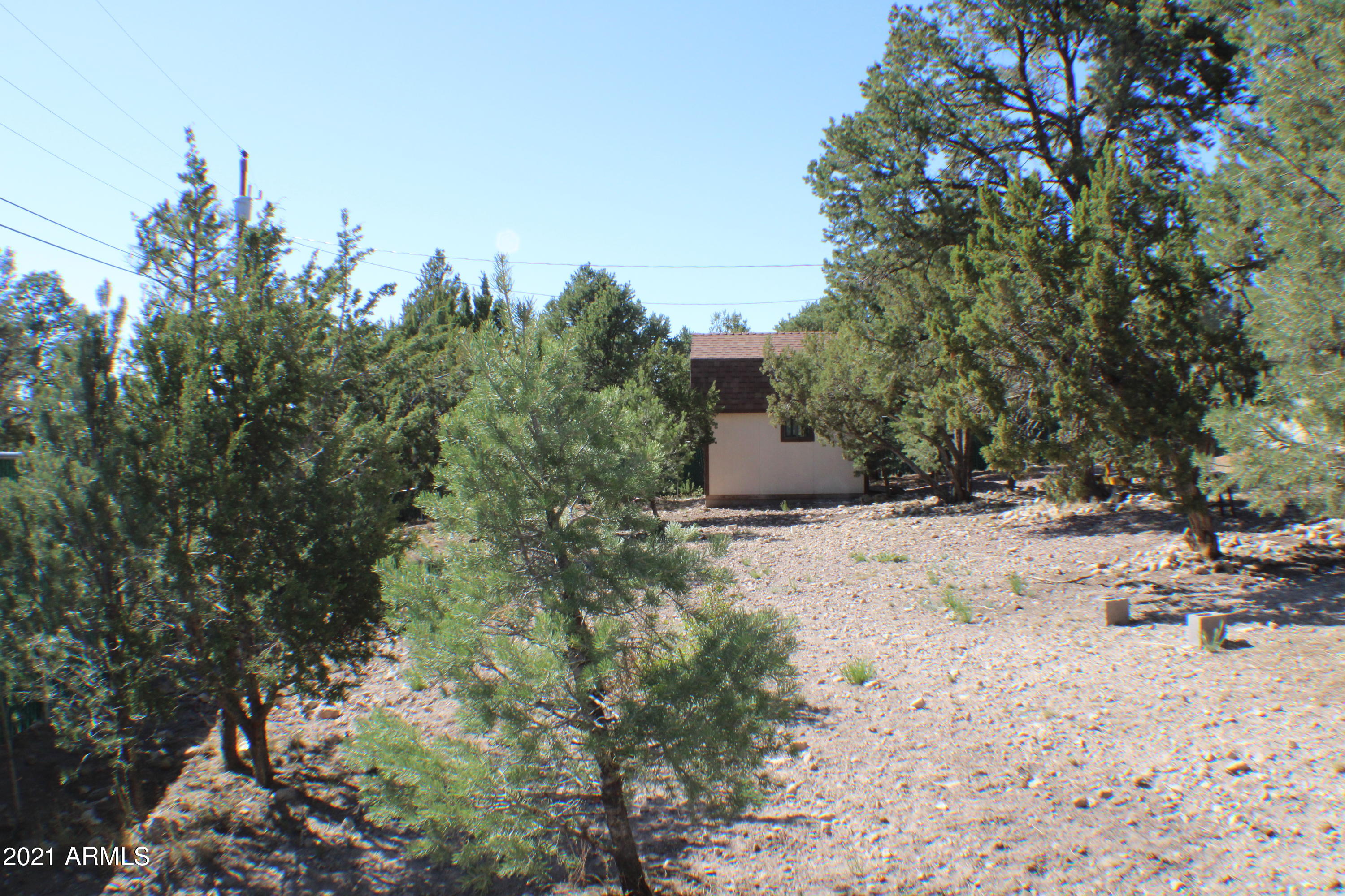 3503 Rae Circle Overgaard, AZ 85933 - Photo 10 of 16 IMG_1390