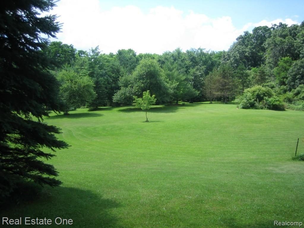 9910 Ellis Road Clarkston, MI 48348 - Photo 25 of 32 VIEW OUT FRONT