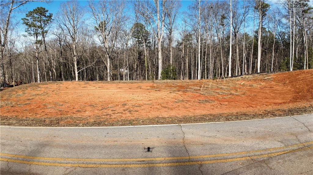 628 Robertson Loop Road Clarkesville, GA 30523 - Photo 5 of 7