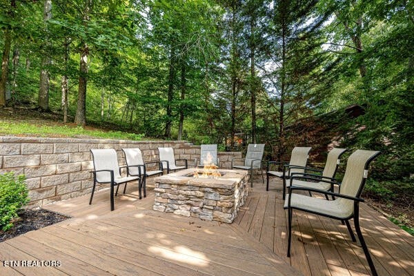 296 Lane Hollow Road Sevierville, TN 37876 - Photo 3 of 23 Gallery Image 3