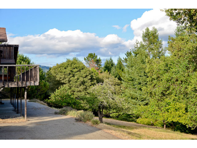 139 Bohnen Road Santa Cruz, CA 95065 - Photo 5 of 25 a view of a yard