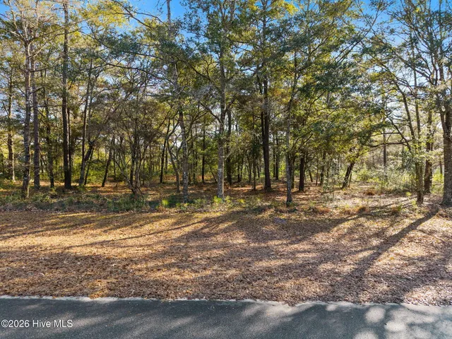 $72,000 | 2061 Oyster Harbour Parkway Southwest, Supply, NC 28462