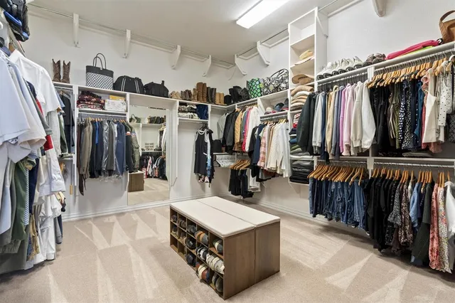 a blue plant with a potted plant