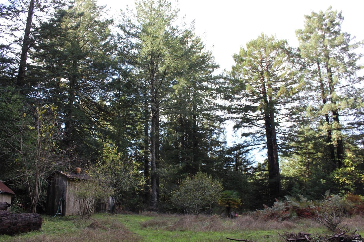 1800 Joy Ridge Road Occidental, CA 95465 - Photo 1 of 1 Gallery Image 1