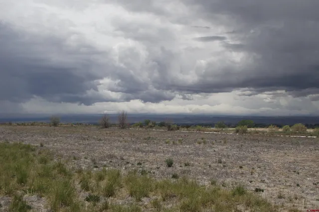 a view of a dry yard with wooden fence