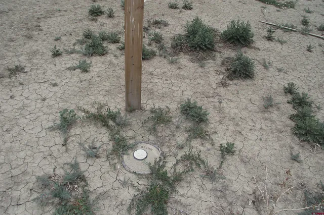 a view of a dry yard