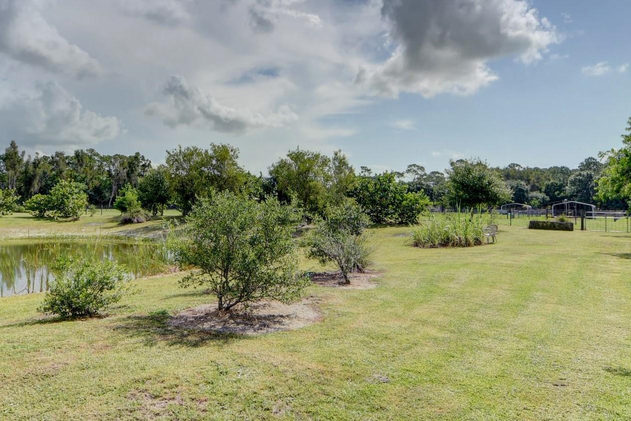2790 Gentile Road Fort Pierce, FL 34945 - Photo 6 of 52 Pond To Pasture