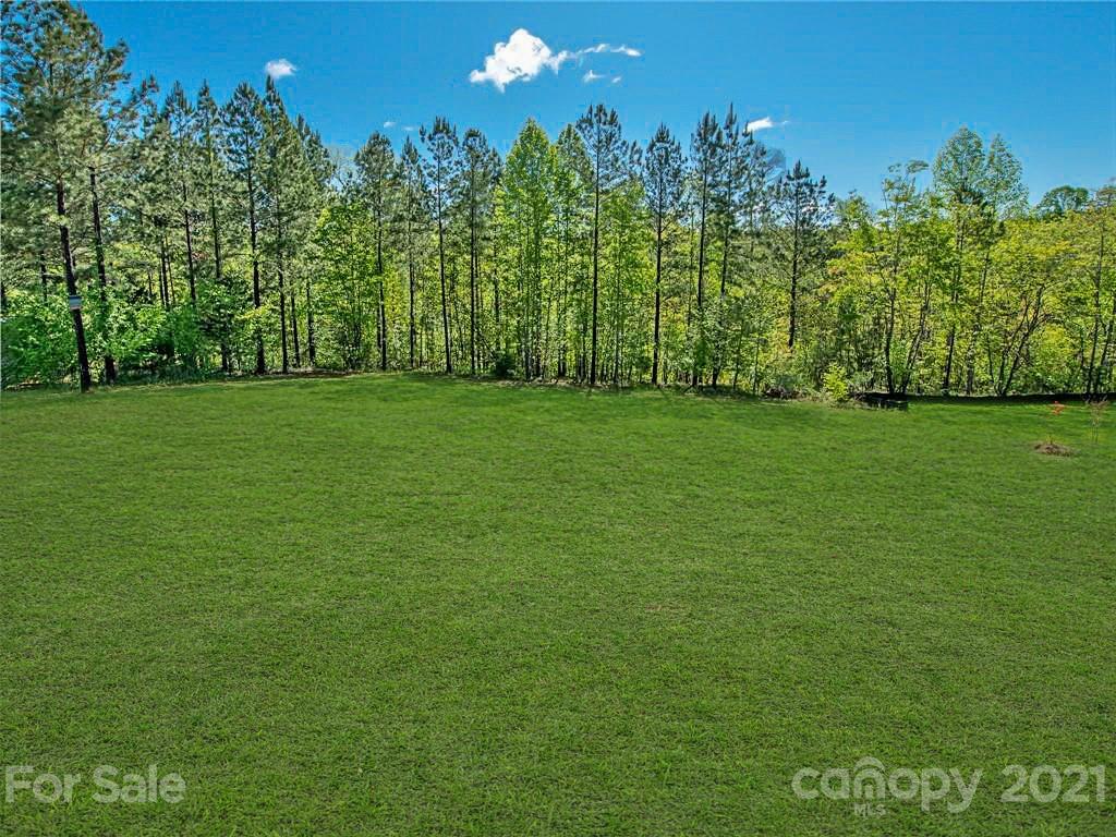 763 Red Spruce Road York, SC 29745 - Photo 43 of 43 a view of a green yard