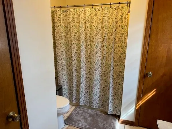 a white toilet sitting next to a shower curtain