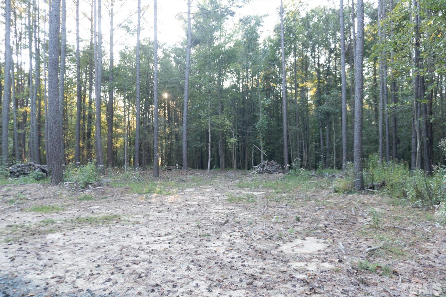 a view of outdoor space and green space