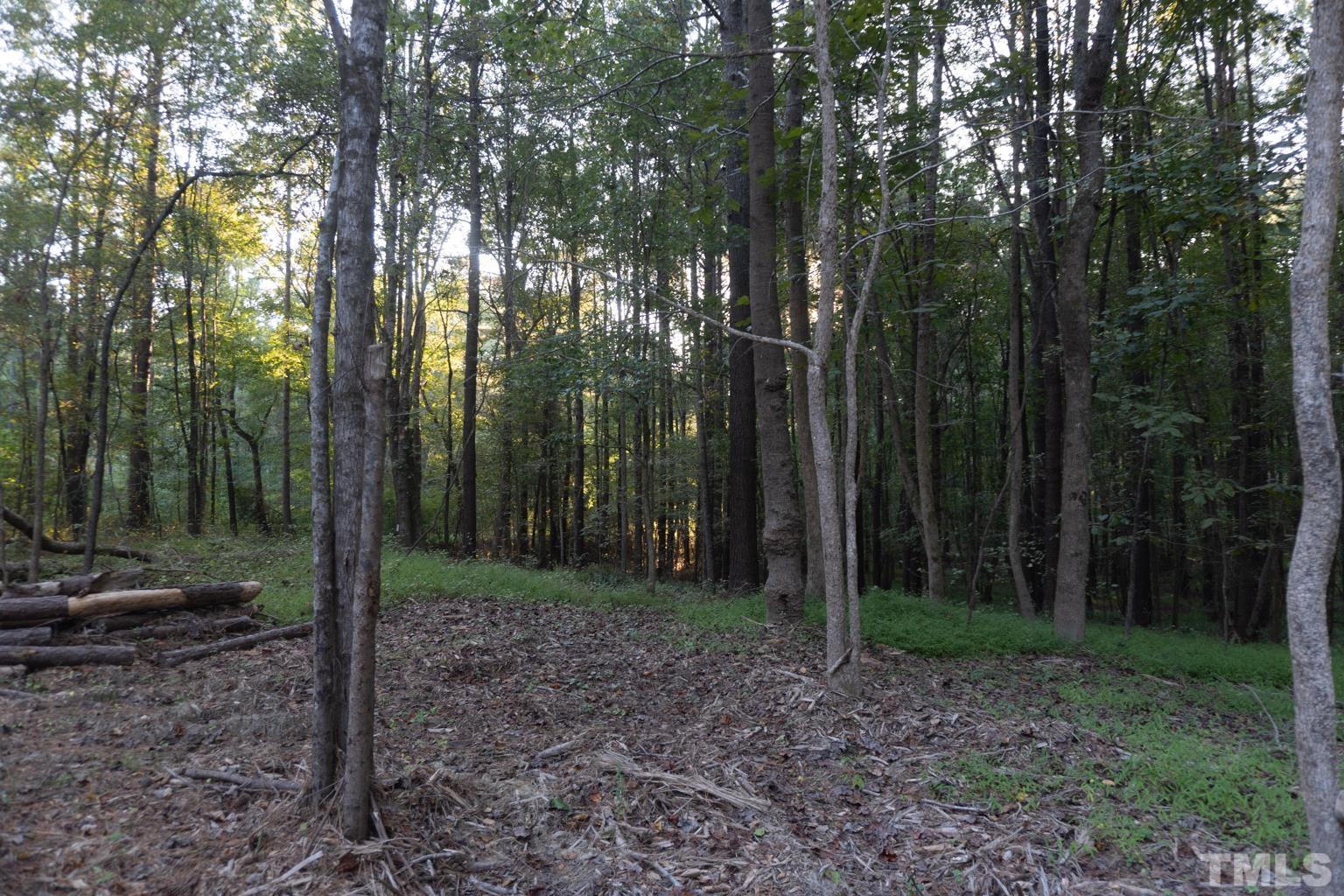 3115 Walters Road Creedmoor, NC 27522 - Photo 11 of 12 a view of a forest that has large trees