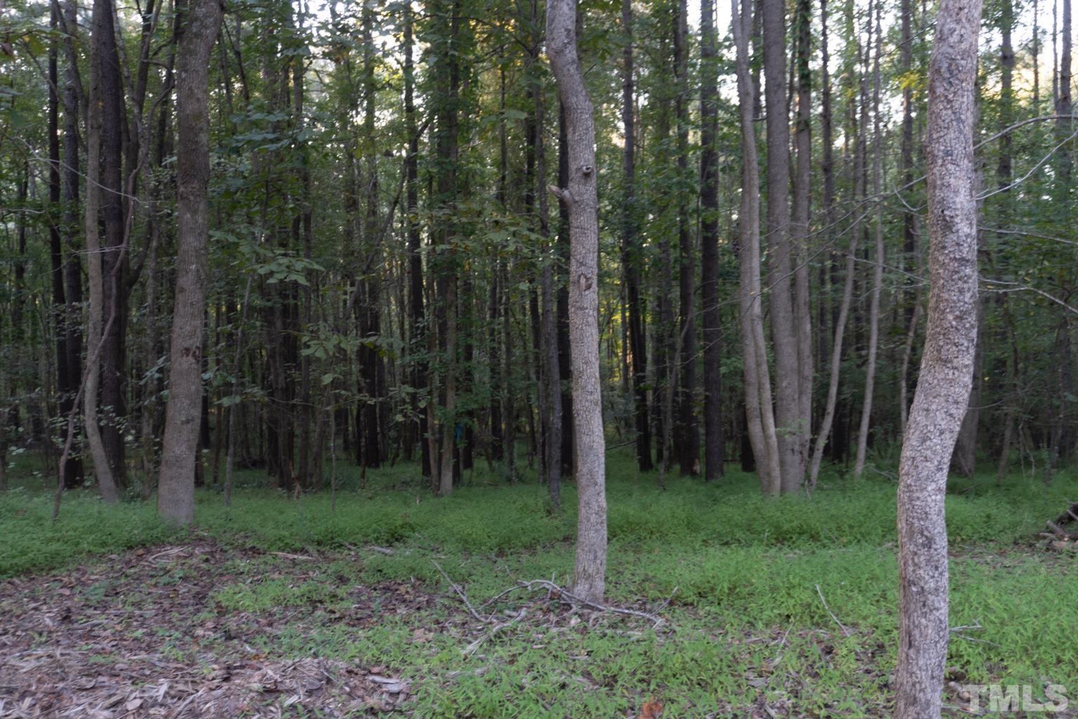 3115 Walters Road Creedmoor, NC 27522 - Photo 12 of 12 a view of a forest
