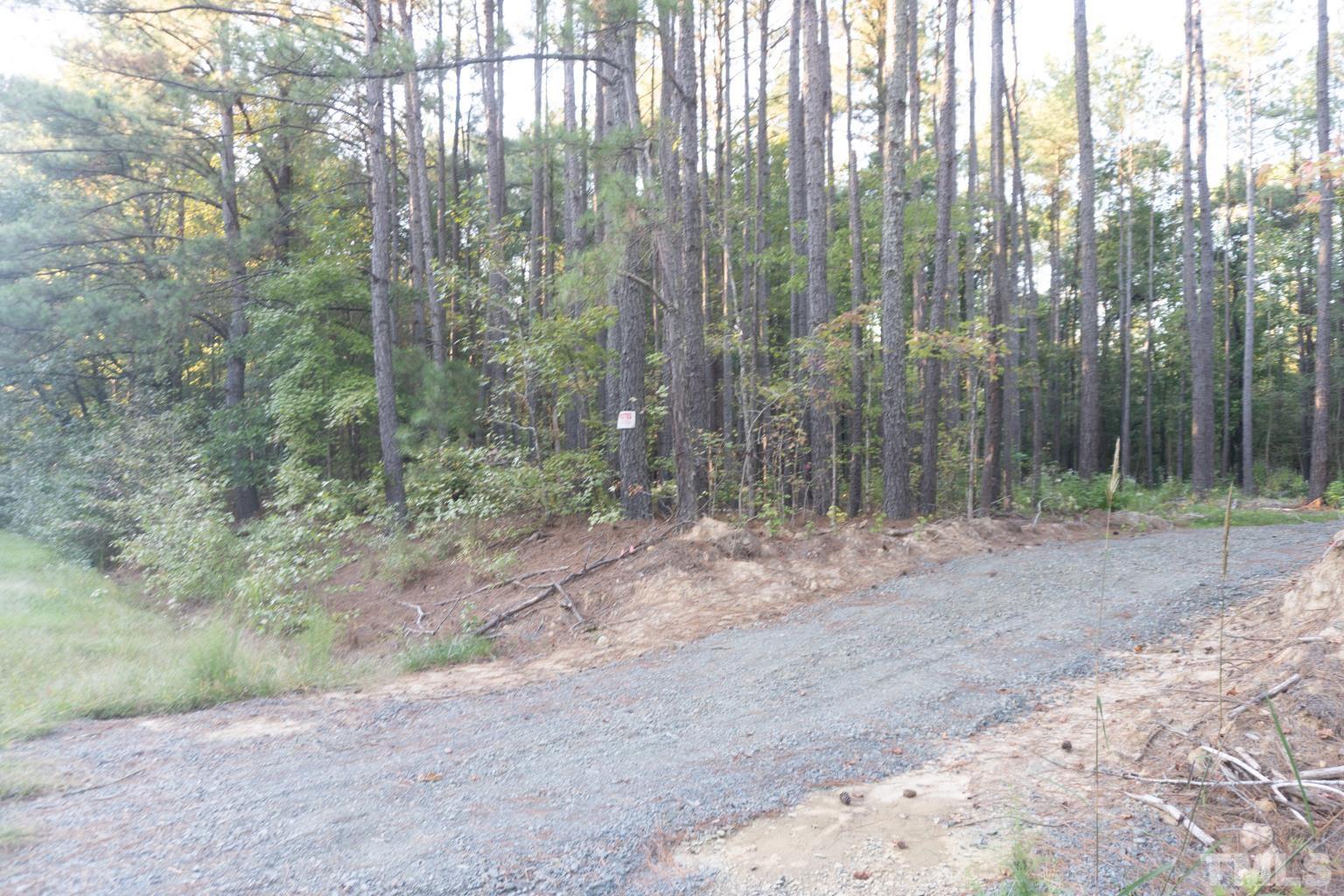3115 Walters Road Creedmoor, NC 27522 - Photo 4 of 12 a view of a forest with trees