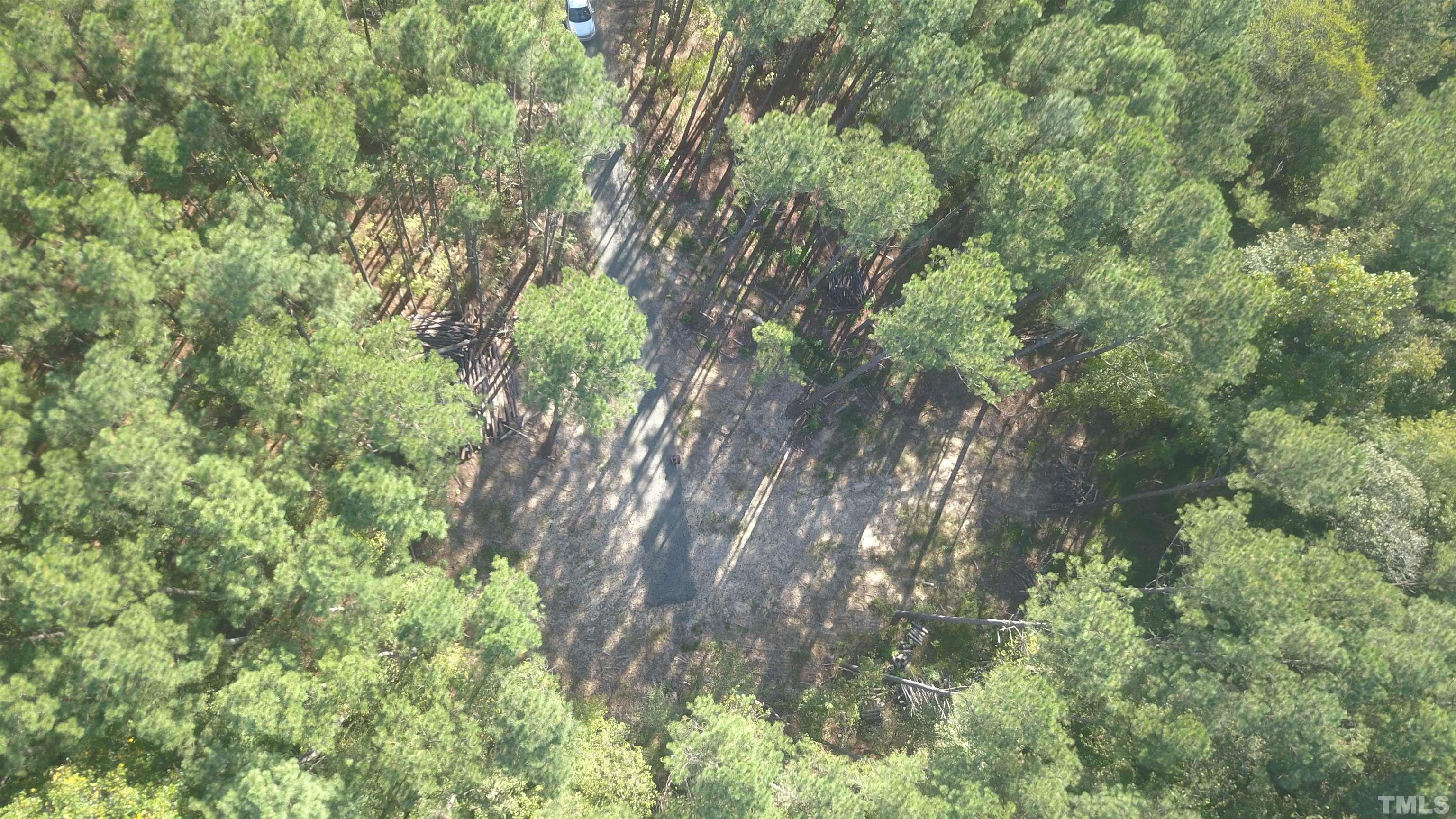 3115 Walters Road Creedmoor, NC 27522 - Photo 5 of 12 a backyard of a house with lots of trees