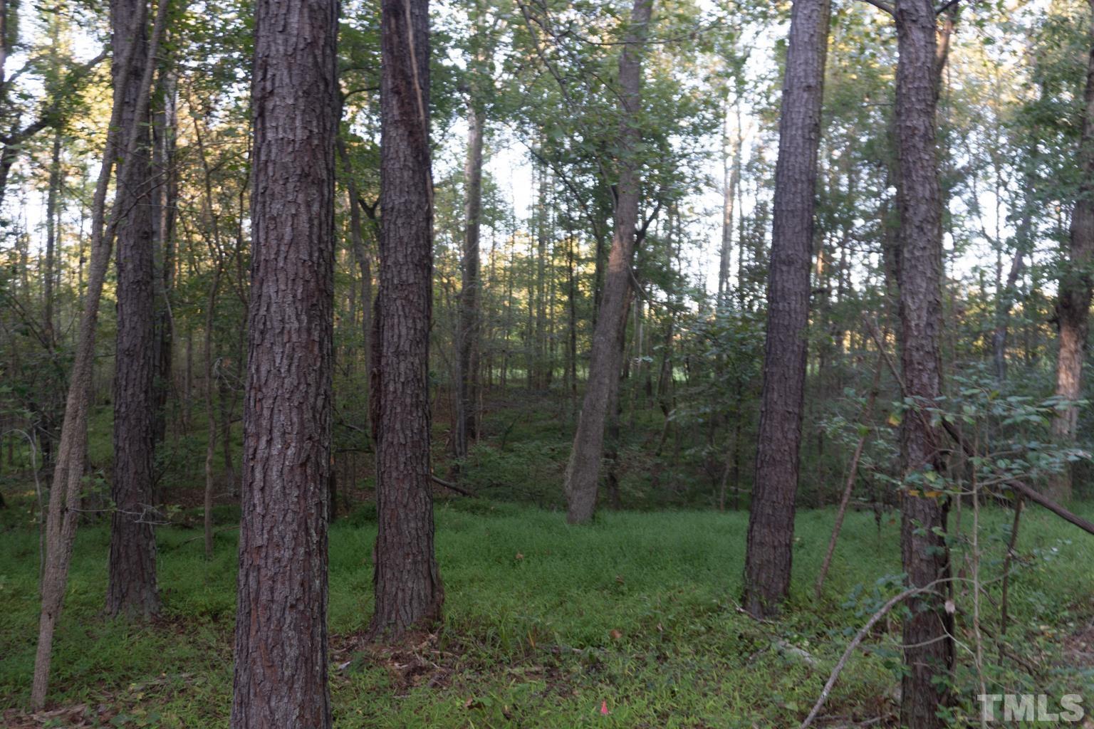 3115 Walters Road Creedmoor, NC 27522 - Photo 9 of 12 a view of a forest