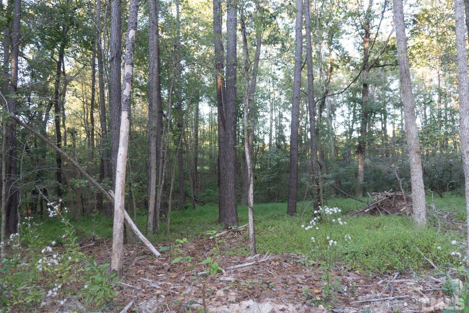 3115 Walters Road Creedmoor, NC 27522 - Photo 10 of 12 a view of outdoor space and green space