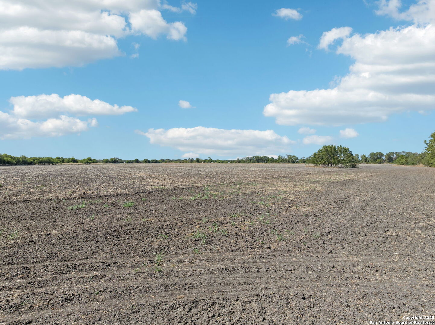 11735 Obrien Road Atascosa, TX 78002 - Photo 11 of 33