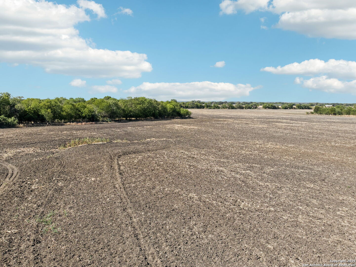 11735 Obrien Road Atascosa, TX 78002 - Photo 12 of 33
