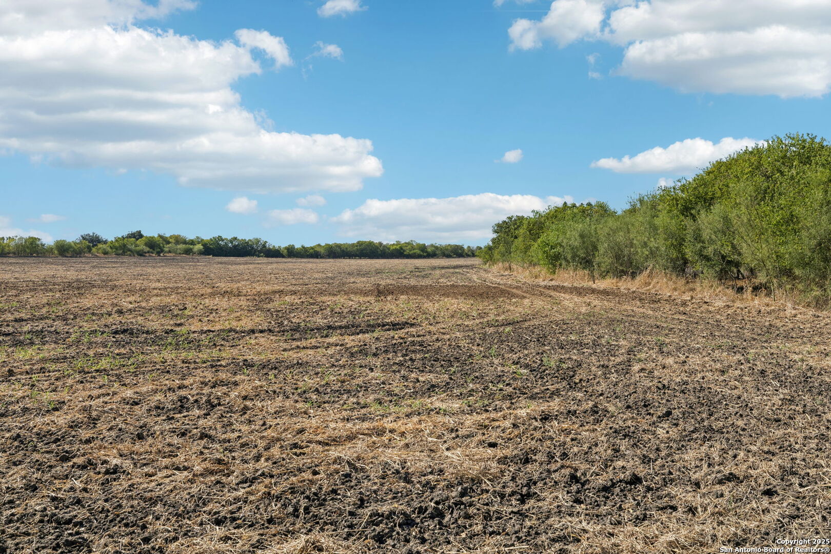 11735 Obrien Road Atascosa, TX 78002 - Photo 13 of 33