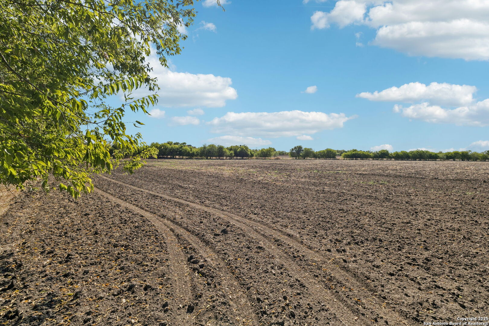 11735 Obrien Road Atascosa, TX 78002 - Photo 14 of 33