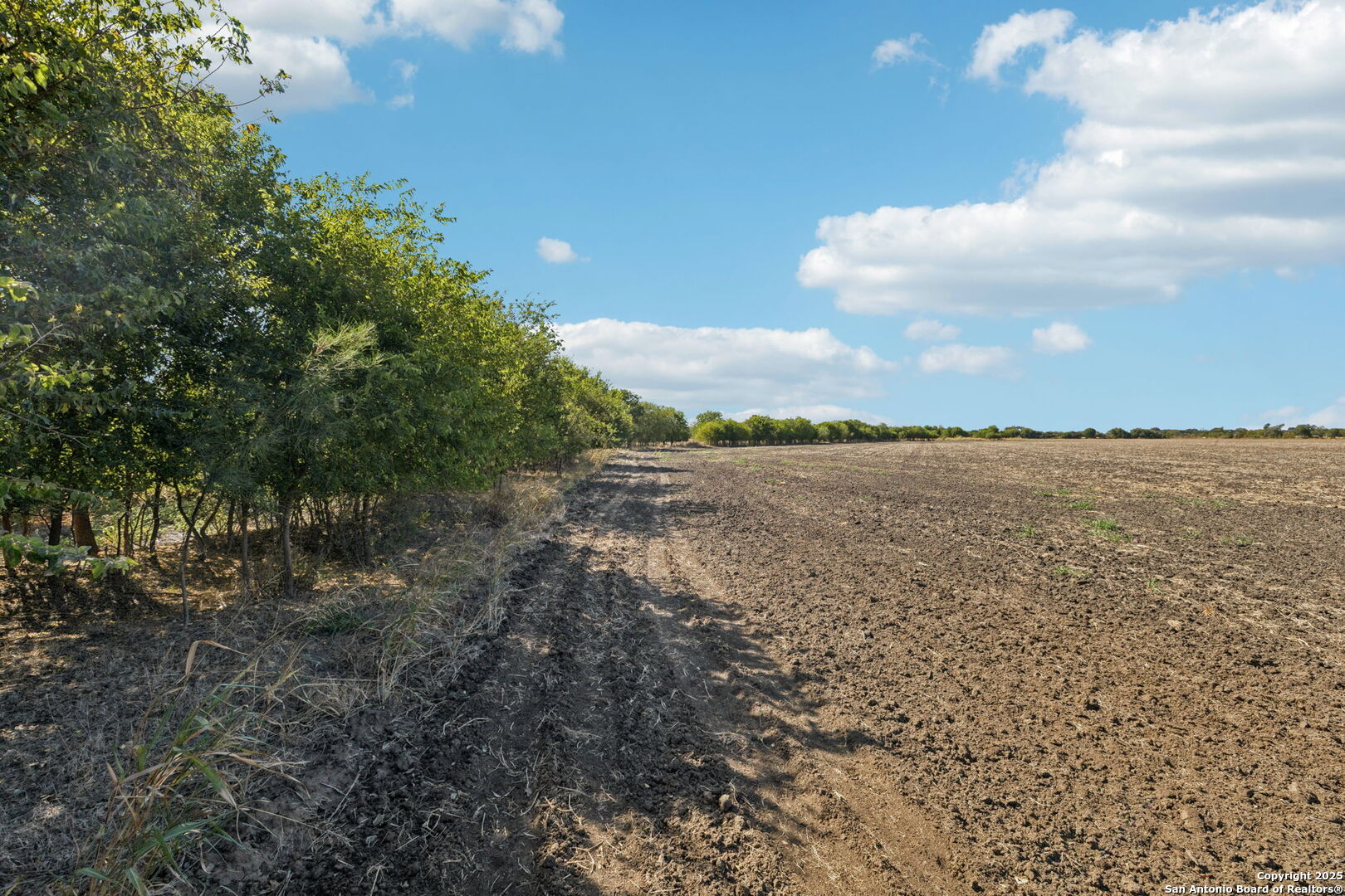 11735 Obrien Road Atascosa, TX 78002 - Photo 15 of 33