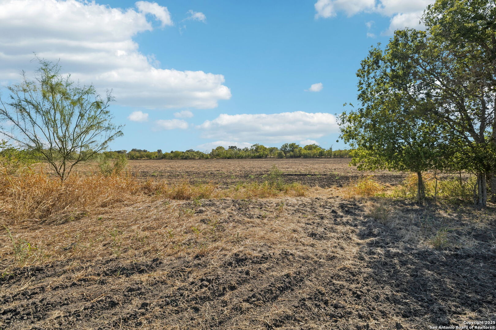 11735 Obrien Road Atascosa, TX 78002 - Photo 16 of 33