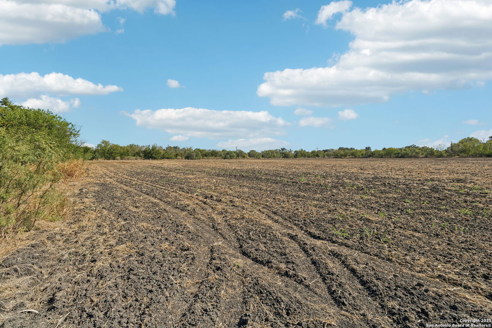 11735 Obrien Road Atascosa, TX 78002 - Photo 17 of 33